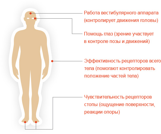 стабилоплатформа S150