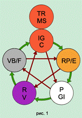 Организм человека с позиции У-СИН