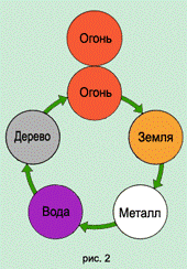 Организм человека с позиции У-СИН
