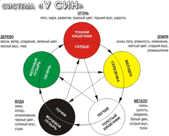 5 элементов - система У-СИН